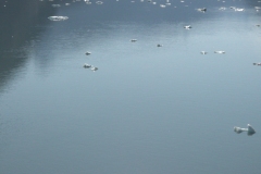 20230725_074226